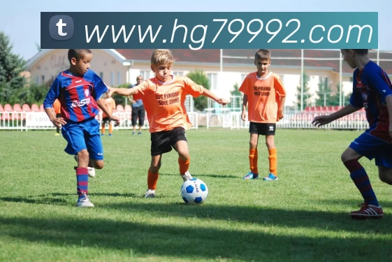 皇冠体育网站入口平台生态图